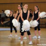 Nejnavštěvovanější sportovní akce v Milevsku: sokolská akademie