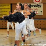 Nejnavštěvovanější sportovní akce v Milevsku: sokolská akademie