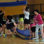 Nejnavštěvovanější sportovní akce v Milevsku: sokolská akademie