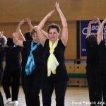 Nejnavštěvovanější sportovní akce v Milevsku: sokolská akademie