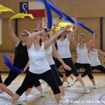 Nejnavštěvovanější sportovní akce v Milevsku: sokolská akademie