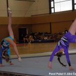 Nejnavštěvovanější sportovní akce v Milevsku: sokolská akademie