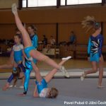 Nejnavštěvovanější sportovní akce v Milevsku: sokolská akademie