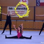 Nejnavštěvovanější sportovní akce v Milevsku: sokolská akademie