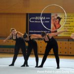 Nejnavštěvovanější sportovní akce v Milevsku: sokolská akademie