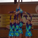 Nejnavštěvovanější sportovní akce v Milevsku: sokolská akademie