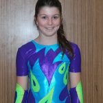 Nejnavštěvovanější sportovní akce v Milevsku: sokolská akademie