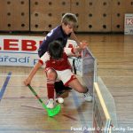 Florbal: Milevští mladší žáci skončili třetí, k prvenství jim chyběl jediný gól