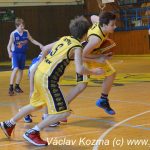 Sršni vstoupili do play off úspěšně