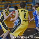 Sršni vstoupili do play off úspěšně