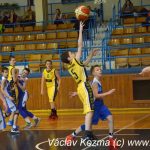Sršni vstoupili do play off úspěšně