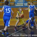 Sršni vstoupili do play off úspěšně