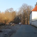 Ministerstvo doporučuje – už nekácet! V Milevsku na poslední chvíli padly stromy u kláštera