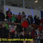 Turnaj hokejových nadějí ovládla Horácká Slavia Třebíč