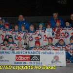 Turnaj hokejových nadějí ovládla Horácká Slavia Třebíč