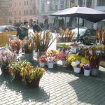 Jarní trhy na budějovickém náměstí právě začaly