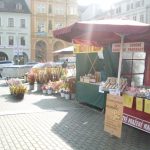 Jarní trhy na budějovickém náměstí právě začaly