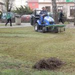 Tábor sužují havrani. Vymyslí radnice, jak je přemístit?