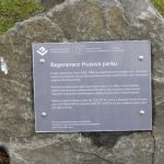 Tábor sužují havrani. Vymyslí radnice, jak je přemístit?