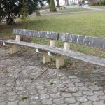 Tábor sužují havrani. Vymyslí radnice, jak je přemístit?