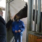 Veřejnost nahlédla pod pokličku tréninkového střediska dostihových koní