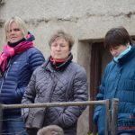 Veřejnost nahlédla pod pokličku tréninkového střediska dostihových koní