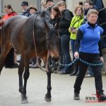 Veřejnost nahlédla pod pokličku tréninkového střediska dostihových koní