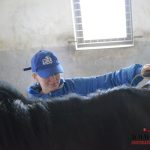 Veřejnost nahlédla pod pokličku tréninkového střediska dostihových koní