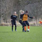 Ženský fotbal: Sokol porazil outsidera z Horní Břízy 4:0