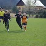 Ženský fotbal: Sokol porazil outsidera z Horní Břízy 4:0