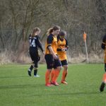 Ženský fotbal: Sokol porazil outsidera z Horní Břízy 4:0