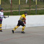 Hokejbal: Tábor zakončil základní část vítězně a do play-off jde z 1. místa