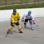 Hokejbal: Tábor zakončil základní část vítězně a do play-off jde z 1. místa
