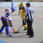 Hokejbal: Tábor zakončil základní část vítězně a do play-off jde z 1. místa