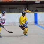 Hokejbal: Tábor zakončil základní část vítězně a do play-off jde z 1. místa