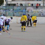 Hokejbal: Tábor zakončil základní část vítězně a do play-off jde z 1. místa