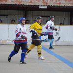 Hokejbal: Tábor zakončil základní část vítězně a do play-off jde z 1. místa
