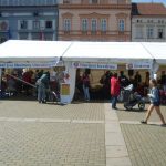 Literatura ožívá v centru Budějovic