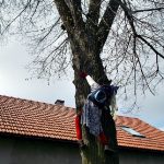 Čarodějnice znovu zdobí domy v Lomu