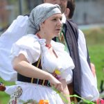 Folklorní soubor v krojích postavil v Písku máj