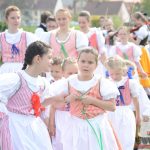 Folklorní soubor v krojích postavil v Písku máj