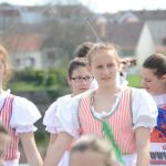 Folklorní soubor v krojích postavil v Písku máj