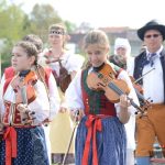 Folklorní soubor v krojích postavil v Písku máj