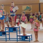 Milevský pohárek v moderní gymnastice zaplnil sportovní halu