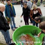 Výstavu květin v Chotovinách si nenechaly ujít tisíce lidí