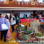 Výstavu květin v Chotovinách si nenechaly ujít tisíce lidí