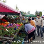 Výstavu květin v Chotovinách si nenechaly ujít tisíce lidí