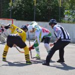 Hokejbal: Tábor první finále nezvládl. Raduje se Blatná