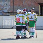 Hokejbal: Tábor první finále nezvládl. Raduje se Blatná