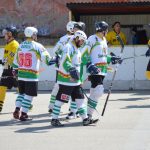 Hokejbal: Tábor první finále nezvládl. Raduje se Blatná